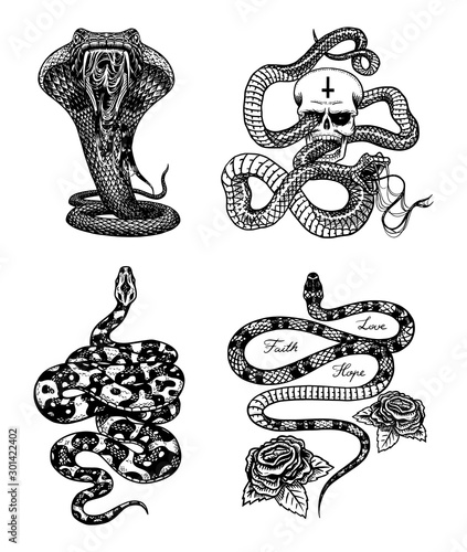Vintage snake set. Royal python with skull and roses, milk reptile, venomous cobra. Poisonous Viper for poster or tattoo. Engraved hand drawn old sketch for t-shirt or logo. 