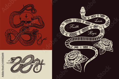 Royal python with a skull, a milk snake with roses, a reptile with a sword. Poisonous Viper template for poster or tattoo. Engraved hand drawn old Vintage sketch for t-shirt or logo. 