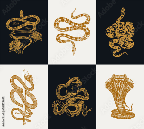 Milk snake with roses, skeleton royal python with skull, reptile with sword, Venomous Cobra. Poisonous Viper template for poster or tattoo. Engraved hand drawn old Vintage sketch for t-shirt or logo. 