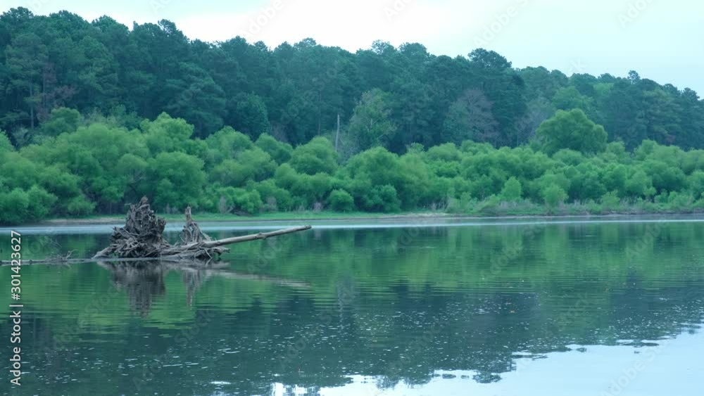 View of the canoe access of Robeson Creek, a stream that feeds into the Jordan Lake Reservoir in The Triangle region of North Carolina near Raleigh. View of the canoe access of Robeson Creek, a stream that feeds into the Jordan Lake Reservoir in The Triangle region of North Carolina near Raleigh.