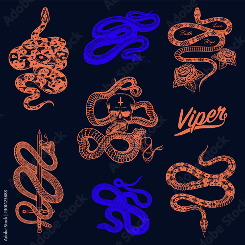 Milk snake with roses, skeleton royal python with skull, neon reptile with sword, Venomous Cobra. Viper template for poster or tattoo. Engraved hand drawn old Vintage sketch for t-shirt or logo. 
