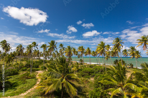 Wallpaper Mural Palmenstrand Torontodigital.ca