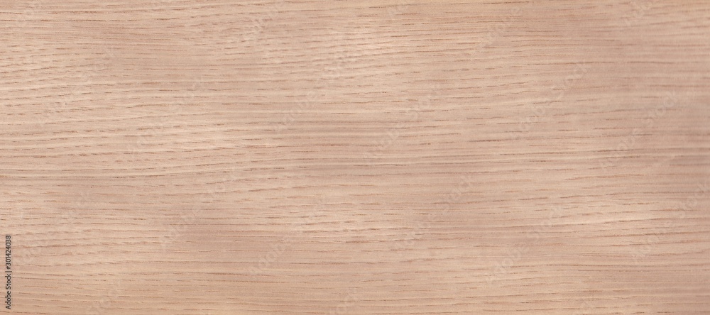Fragment of an old tree with a knot ,invoice of wood. preparation for design,texture of a board,wood veneer Fragment of an old tree with a knot ,invoice of wood. preparation for design,texture of a board,wood veneer