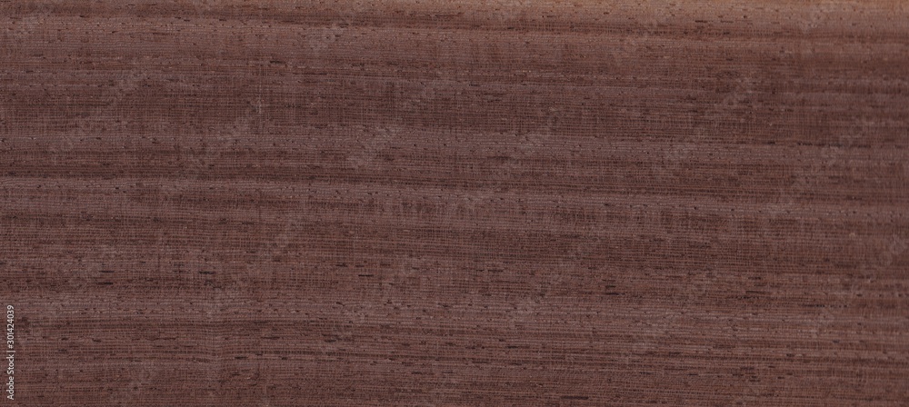 Fototapeta premium Fragment of an old tree with a knot ,invoice of wood. preparation for design,texture of a board,wood veneer