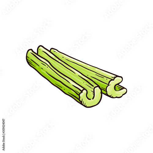Green celery stalk cut up in half - hand drawn sticks of fresh plant