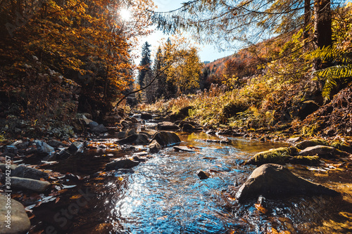 Fototapeta Naklejka Na Ścianę i Meble -  Mountain river flowing through the autumn colorful forest