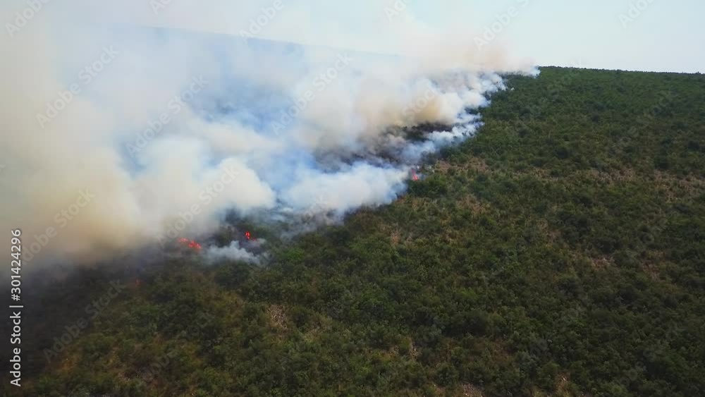 Aerial shot of thick white smoke resulting from a forest fire that is destroying green bushes and trees Aerial shot of thick white smoke resulting from a forest fire that is destroying green bushes and trees