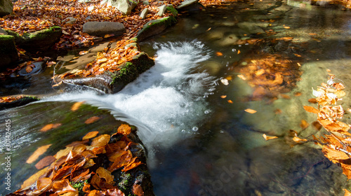 Fototapeta Naklejka Na Ścianę i Meble -  Mountain river flowing through the autumn colorful forest