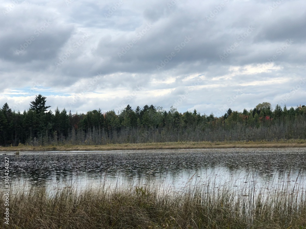 Landscape of water, Pine Trees and Sky Landscape of water, Pine Trees and Sky