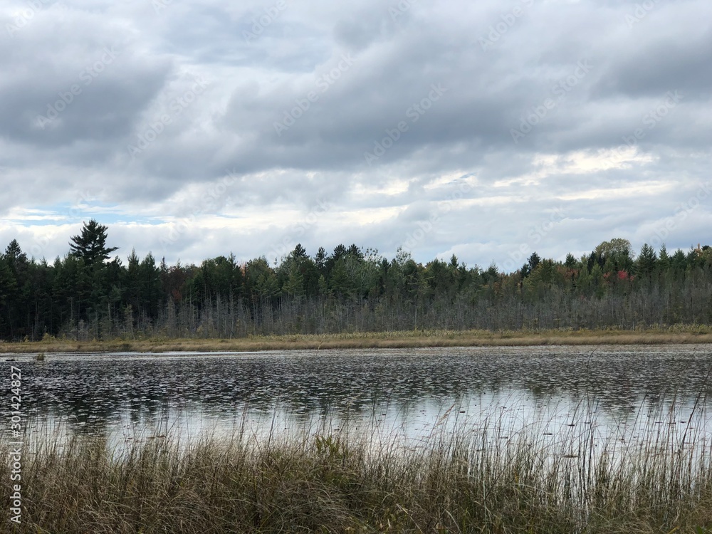 Landscape of water, Pine Trees and Sky