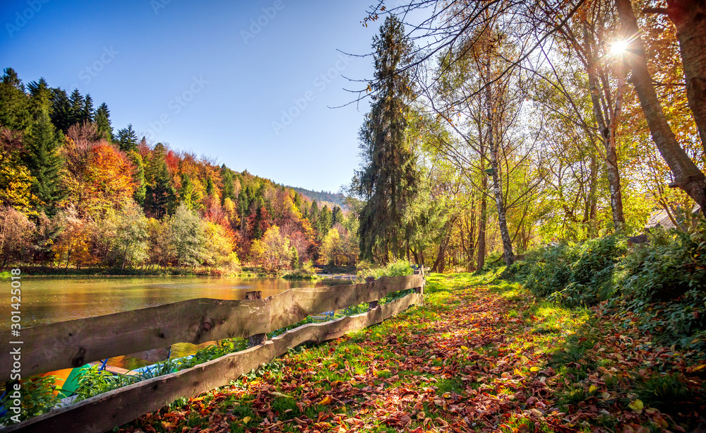 Incredible autumn landscape with lake and mountains - obrazy, fototapety, plakaty 