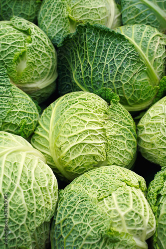 Fresh green savoy cabbages as background, top view