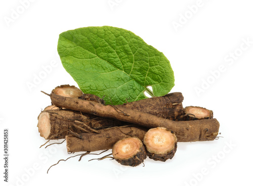 Leinwand Poster Burdock roots isolated on white background