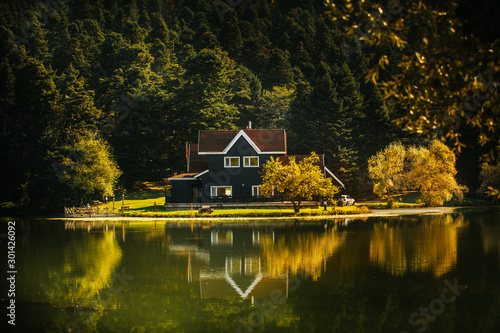 Wallpaper Mural Golcuk National Park Bolu Turkey. Autumn wooden Lake house inside forest in Bolu Golcuk National Park, Turkey wallpaper Torontodigital.ca