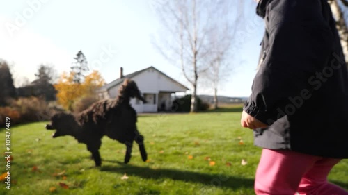 Child plays with her frisky Portuguese water dog in the backyard in slow motion photo