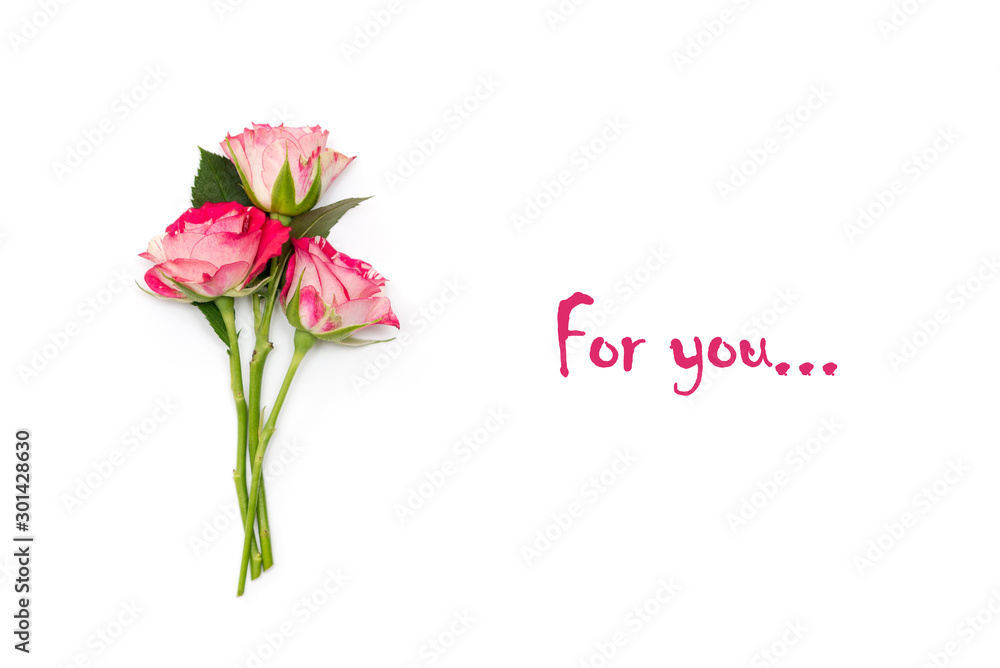 Fototapeta premium small pink roses isolated on a white background