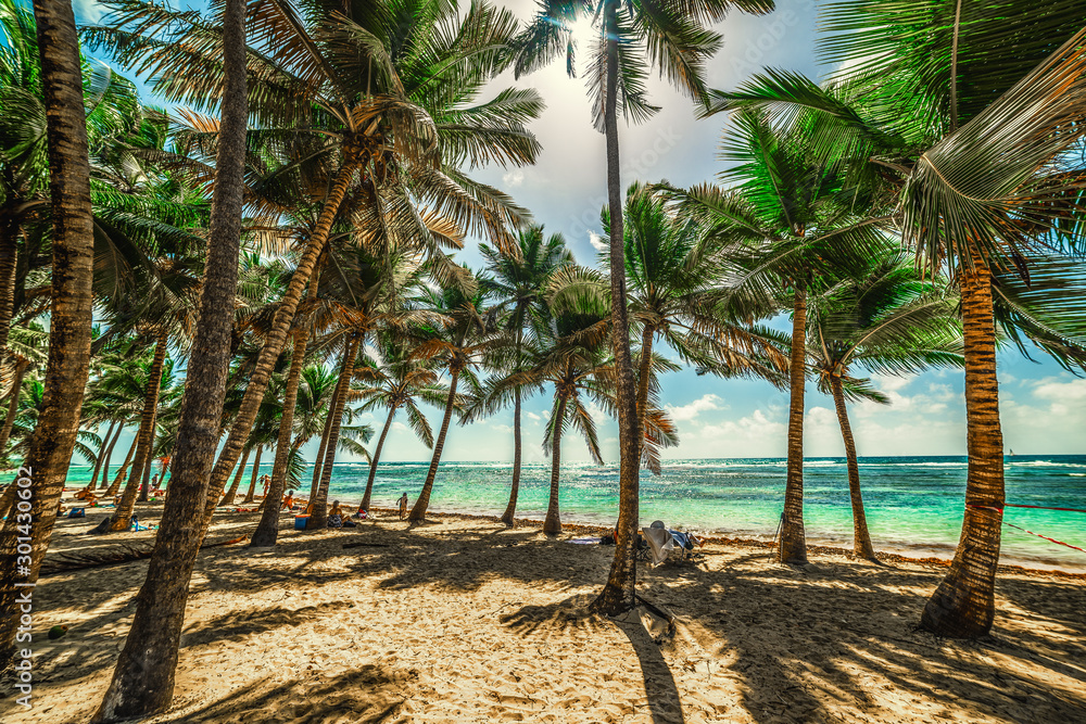 Bois Jolan beach in Guadeloupe Bois Jolan beach in Guadeloupe