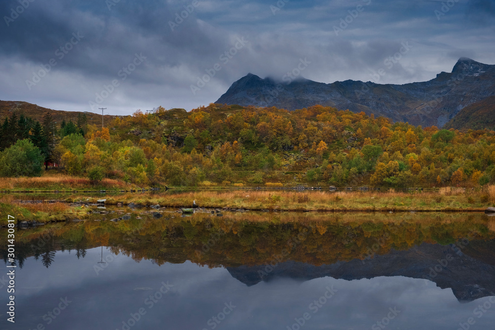 morning autumn forest above the lake at the foot of the mountains. Norway Lofoten