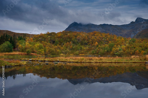 morning autumn forest above the lake at the foot of the mountains. Norway Lofoten