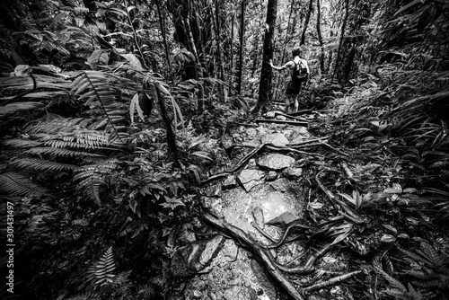 Man exploring the jungle in Guadeloupe in black and white