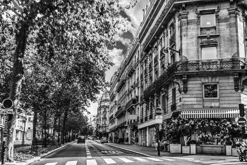 Luxury buildings and green trees in Paris in black and white