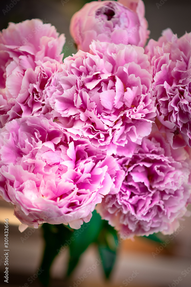 pink flowers pink flowers