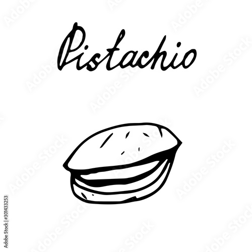 Hand painted nut on an isolated white background. Black outline pistachio. Vector illustration.