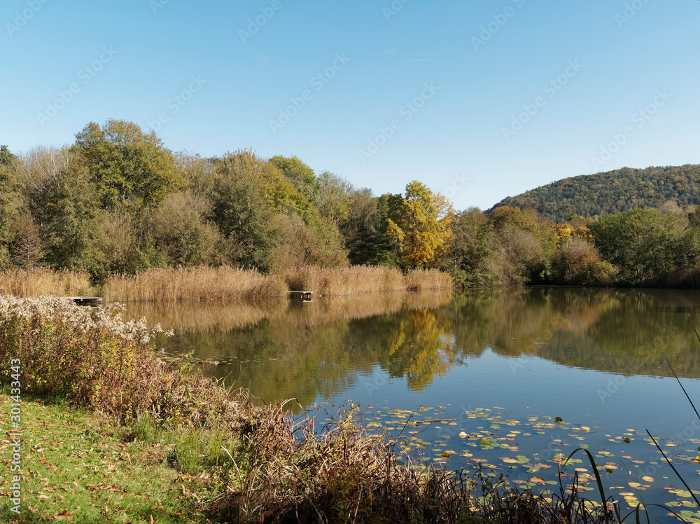 Lörrach Grüttpark im Südwesten Baden-Württembergs. Grüttsee im Herbst Lörrach Grüttpark im Südwesten Baden-Württembergs. Grüttsee im Herbst