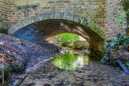 Brick bridge in a stream with transparent water and reflection of green vegetatioN