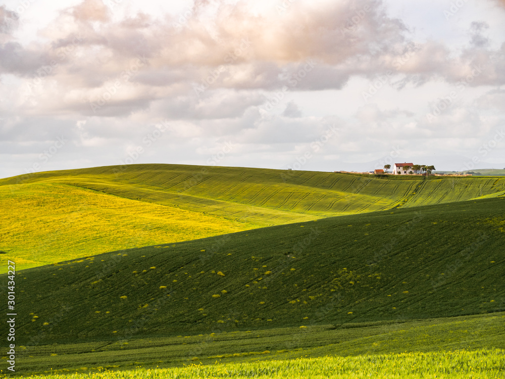 green Tuscan hills on a sunny spring day
