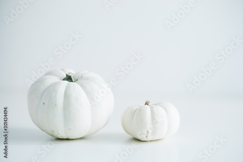 Fresh pumpkin isolated on white background. For Halloween, thanksgiving holiday and Autumn theme