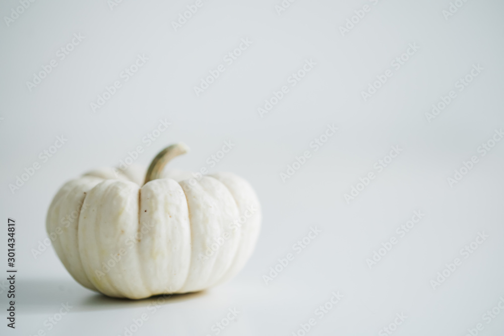 Fresh pumpkin isolated on white background. For Halloween, thanksgiving holiday and Autumn theme Fresh pumpkin isolated on white background. For Halloween, thanksgiving holiday and Autumn theme