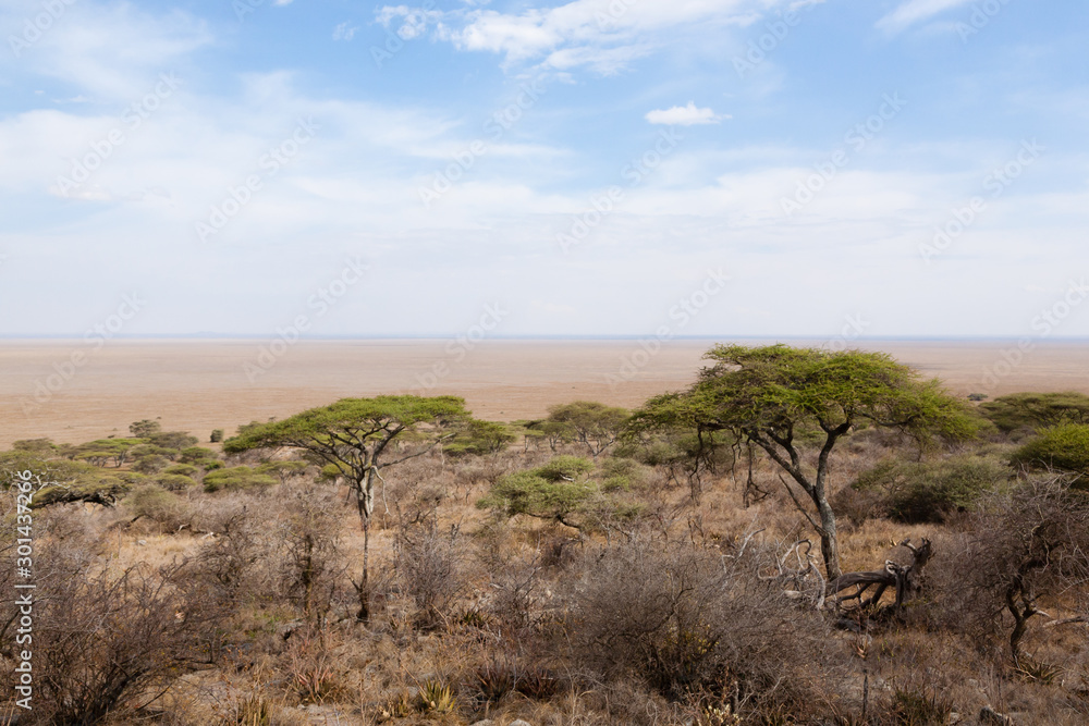 Road to Serengeti national park, Tanzania landscape Road to Serengeti national park, Tanzania landscape