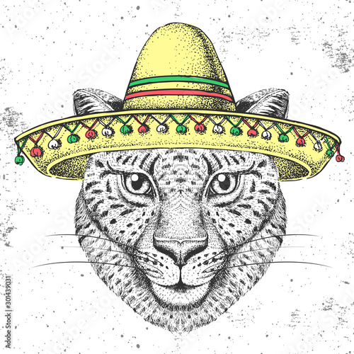Hipster animal cheetah wearing a sombrero hat. Hand drawing Muzzle of cheetah
