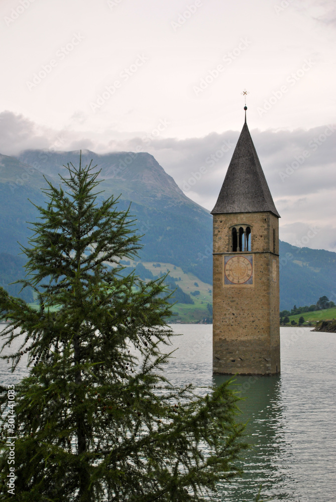 resia lake bell tower and a pine tree