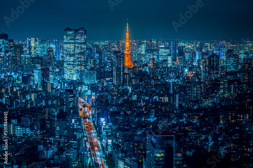 渋谷から見た夜の東京 ~ Night view of JAPAN  photo