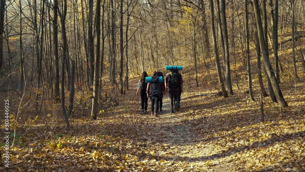 Hikers carrying backpacks walking in scenic autumn forest Hikers carrying backpacks walking in scenic autumn forest