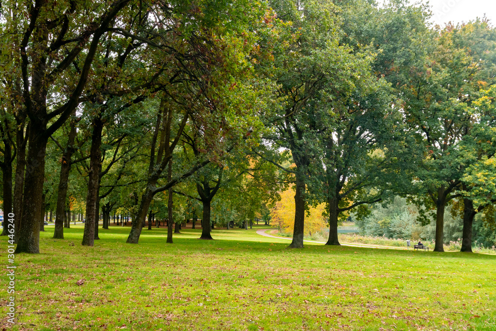 City park in Eindhoven, autumn, Netherlands. Nature.