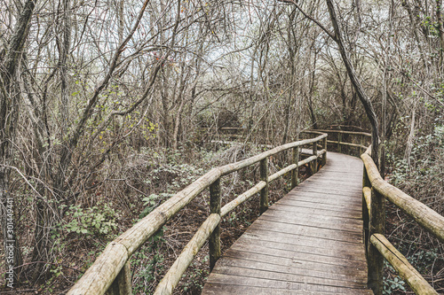 Walking in the forest. Cabañeros National Park. La Mancha, Spain. (No people landscape horizontal photo)