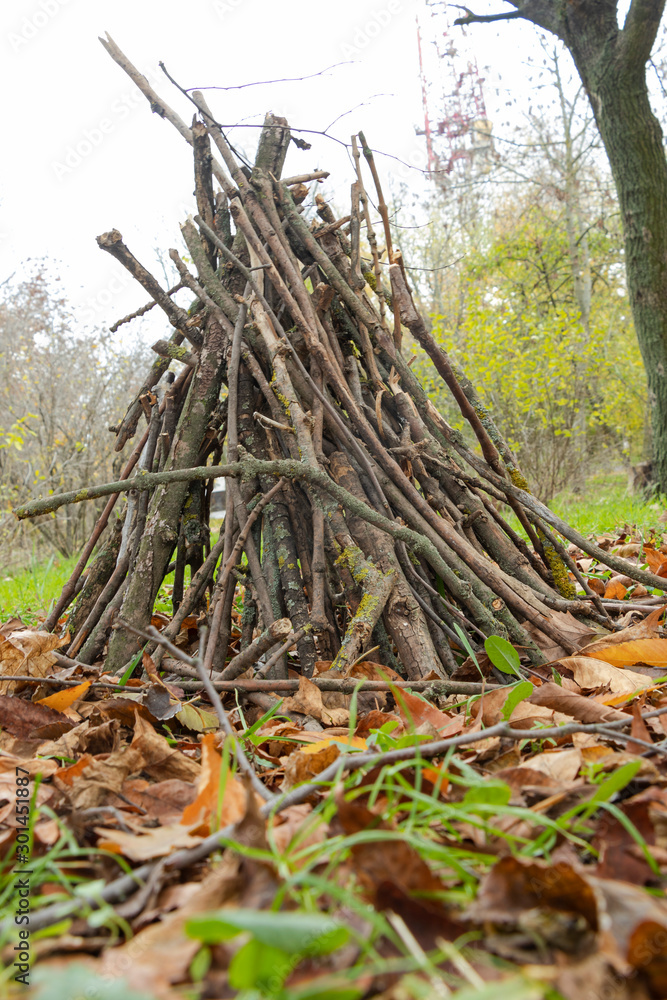 Woodland round you in the park, handmade house. Woodland round you in the park, handmade house.