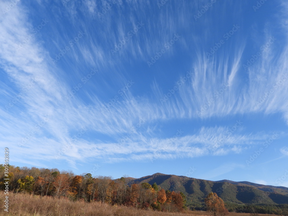 Cades Cove, SMNP, Autumn Colors
