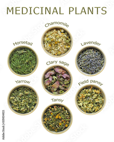 Dry medicinal plants, set of 7 signed herbs in wooden bowls: chamomile, lavender, field pansy, tansy, yarrow, horsetail, clary sage. Isolated on white background. Traditional medicine concept.