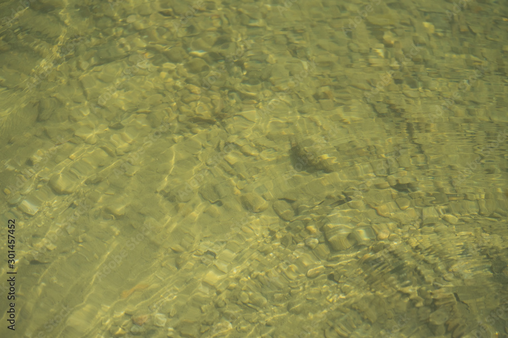 natürliches Wasser in einem flachen Bergsee mit Kaulquappen
