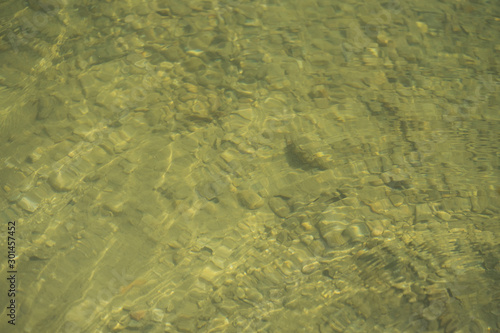 natürliches Wasser in einem flachen Bergsee mit Kaulquappen