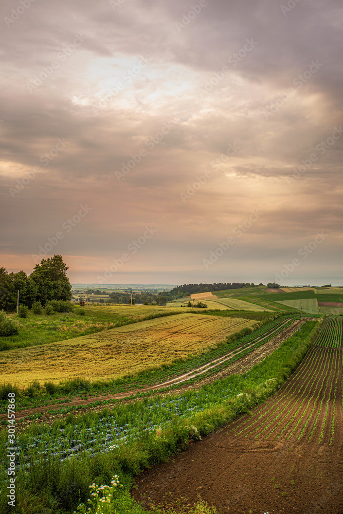 Polish agricultural countryside on a sunset