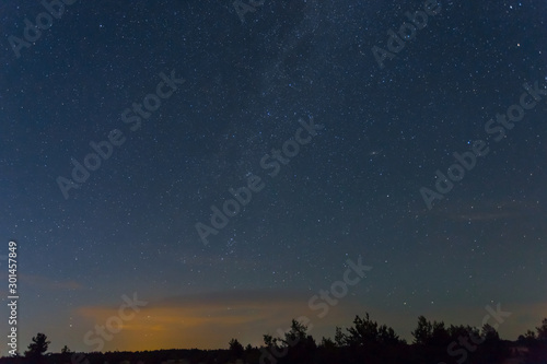 night outdoor scene, starry sky above prairie and forest silhouette