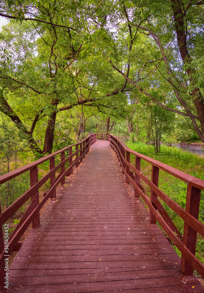 wooden brown bridge in the park, autumn park, wooden path, distance path, forest platform, wooden railing, autumn park wooden brown bridge in the park, autumn park, wooden path, distance path, forest platform, wooden railing, autumn park