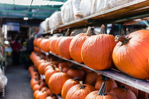 Pumpkins stacked in Lachine market being sold for halloween, Quebec, Canada. photo