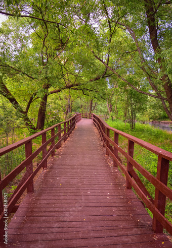 wooden brown bridge in the park, autumn park, wooden path, distance path, forest platform, wooden railing, autumn park