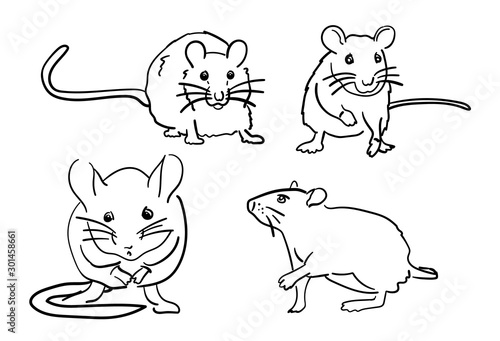 rat or mouse hand drawn symbol of the new year vector. line graphic drawing